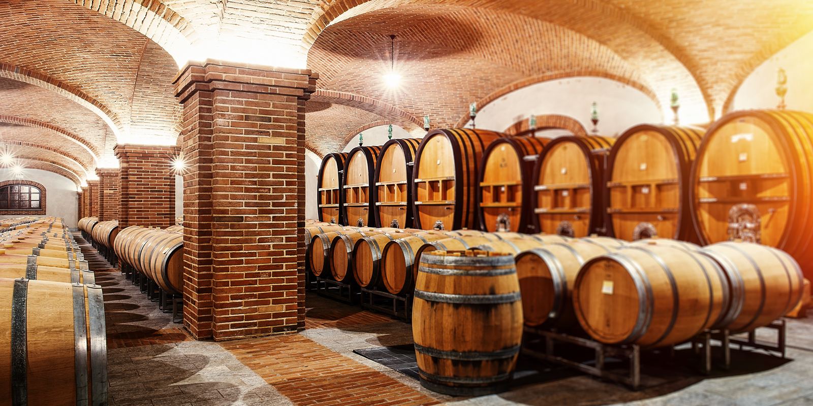 Difference between wine storage and wine cellar