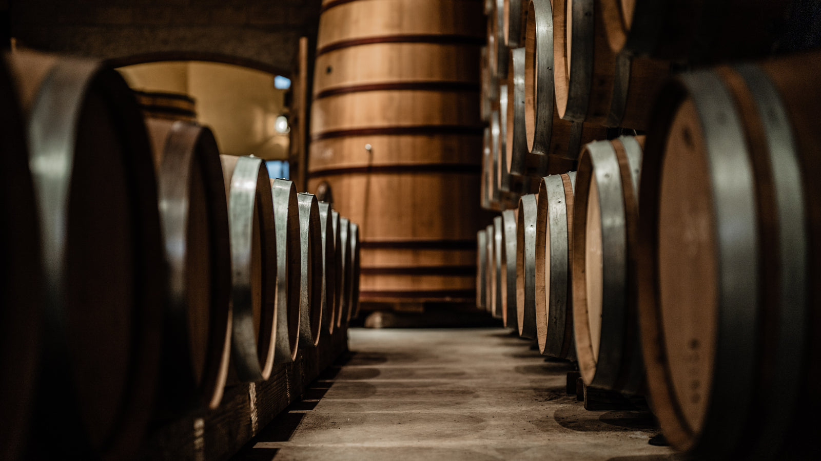 Spare room turned into a wine cellar with rows of wine barrels