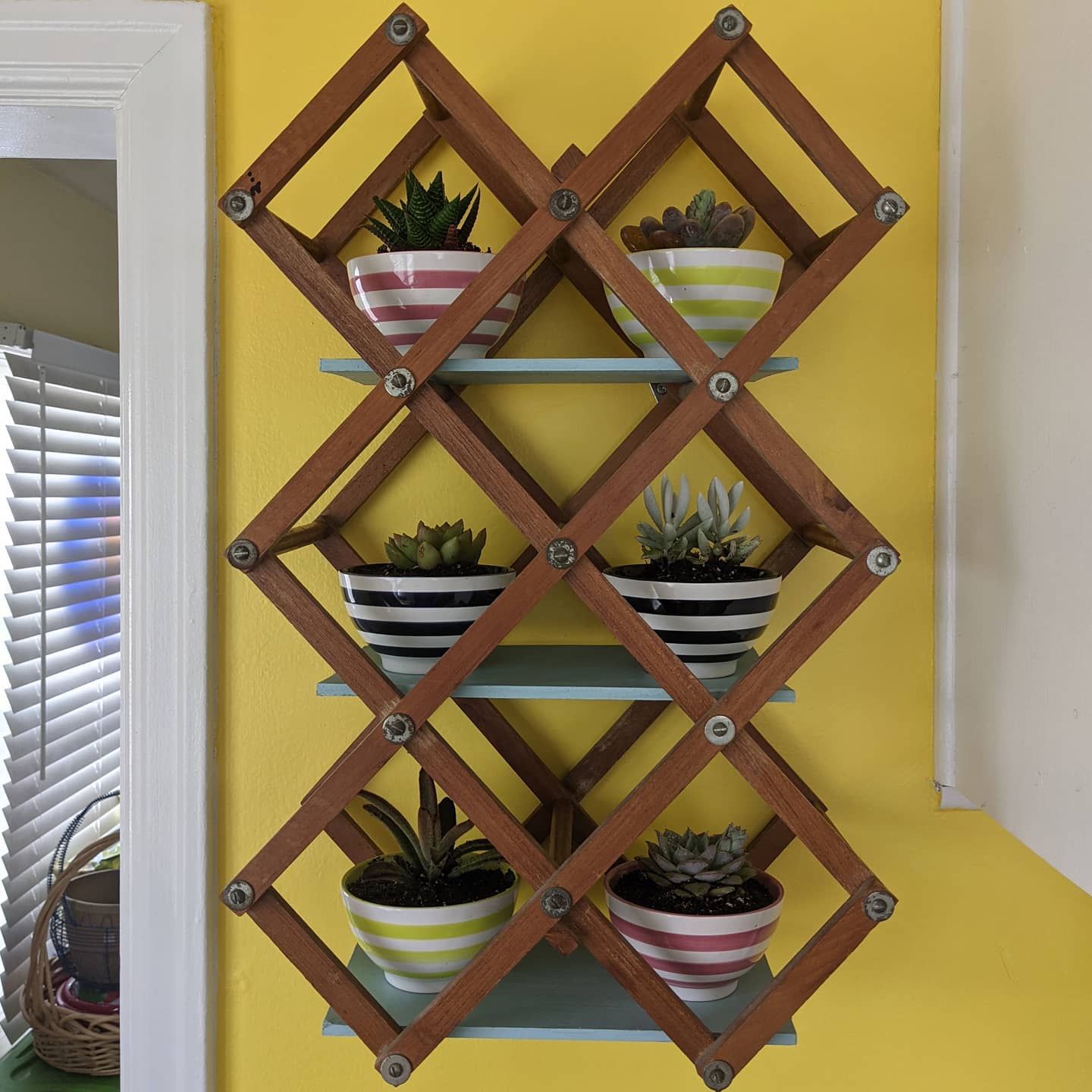 8 Creative Ways to Use Wine Racks Without Wine